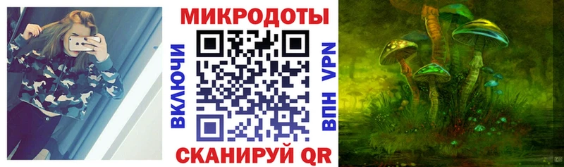 Псилоцибиновые грибы Cubensis  Кыштым 